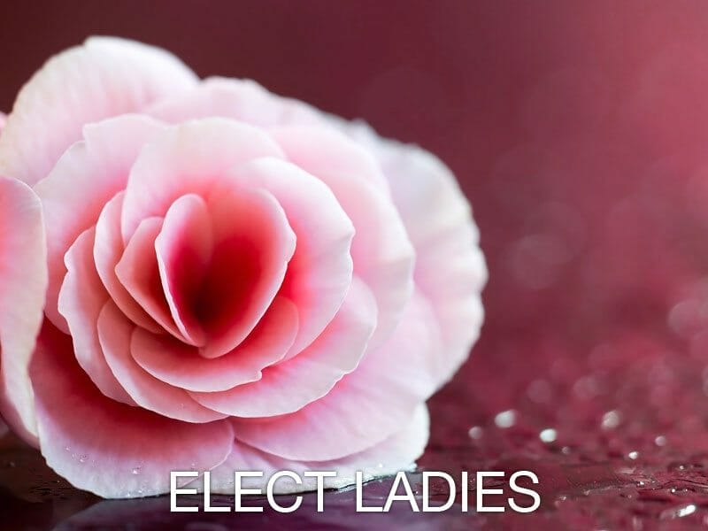 Elect Ladies - Women's Ministry